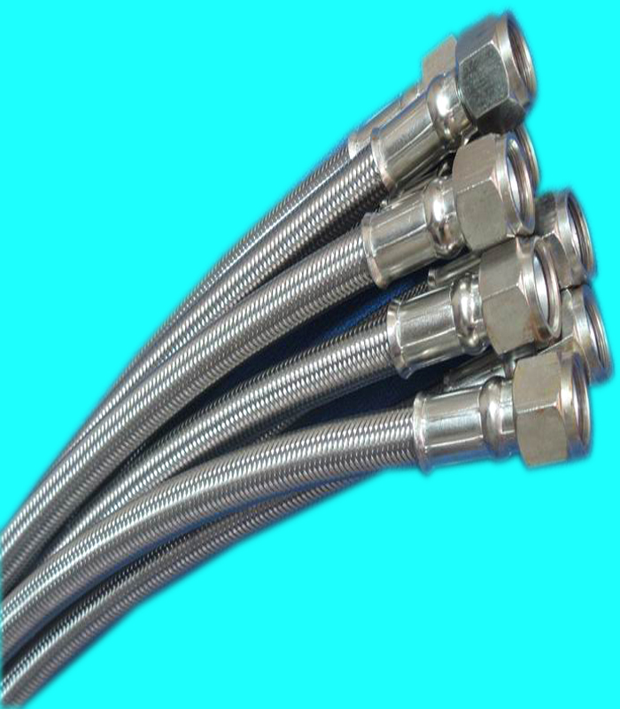 PTFE SS Braided Hose-1