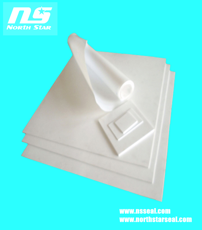 PTFE Sheet -5